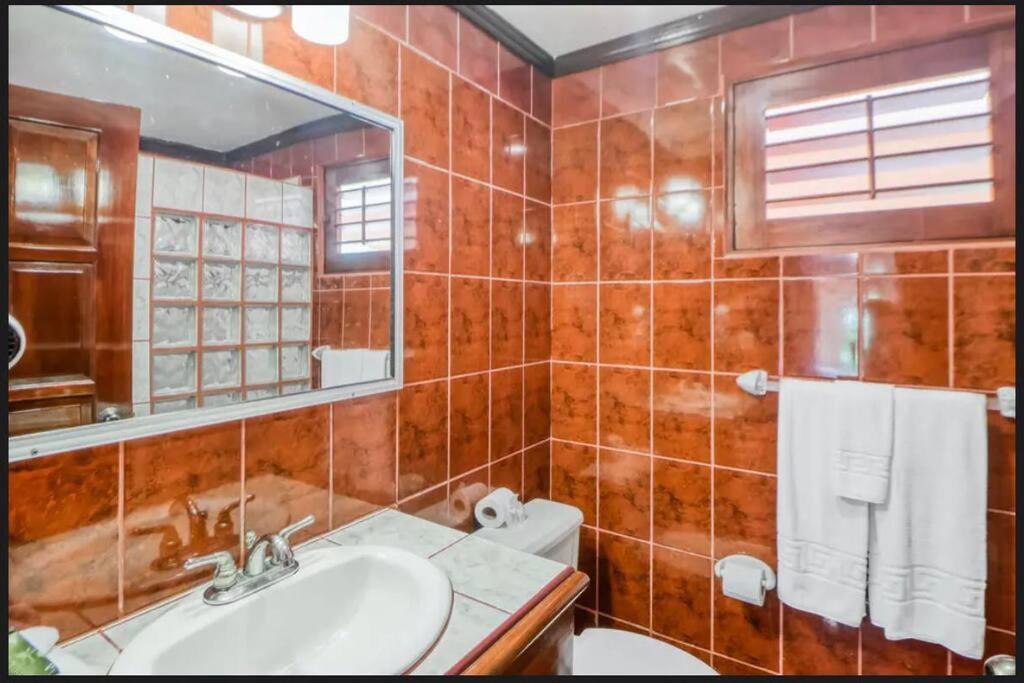 Lovely Apartment Manuel Antonio